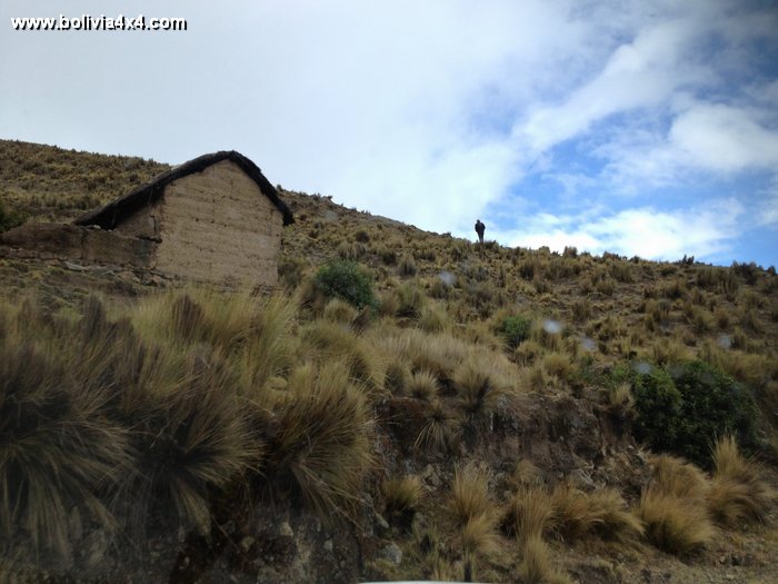 illimani_jime44.jpg